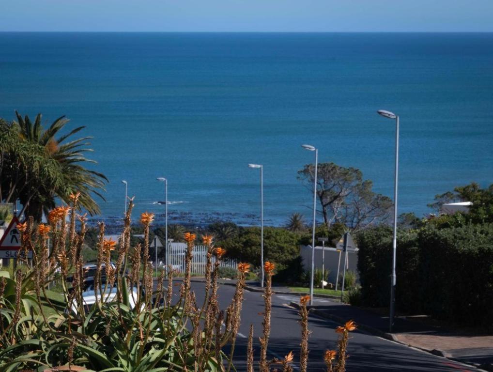 קייפטאון The Atlantic Donreal Guesthouse מראה חיצוני תמונה